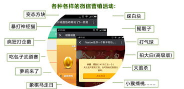 云亞爆炸式微信營銷軟件 型號、功能與購買指南